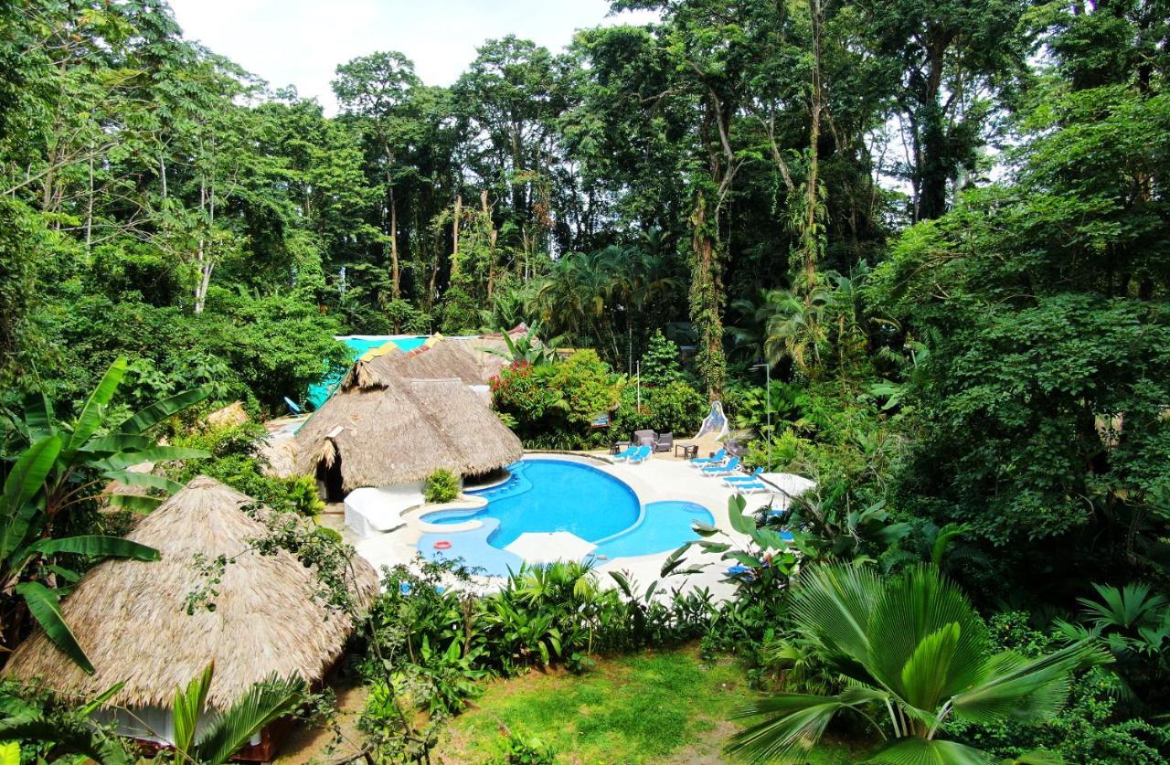 Cariblue Beach And Jungle Resort Puerto Viejo de Talamanca المظهر الخارجي الصورة