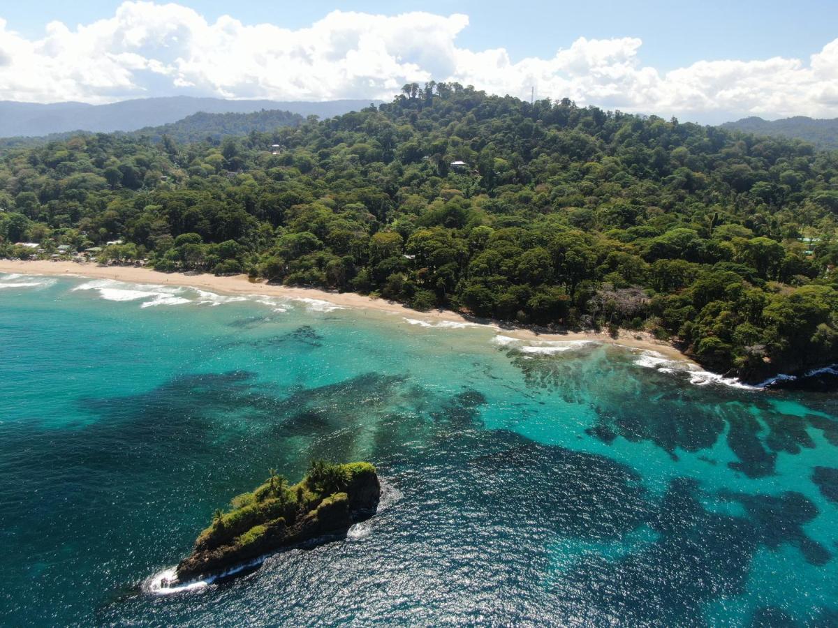 Cariblue Beach And Jungle Resort Puerto Viejo de Talamanca المظهر الخارجي الصورة