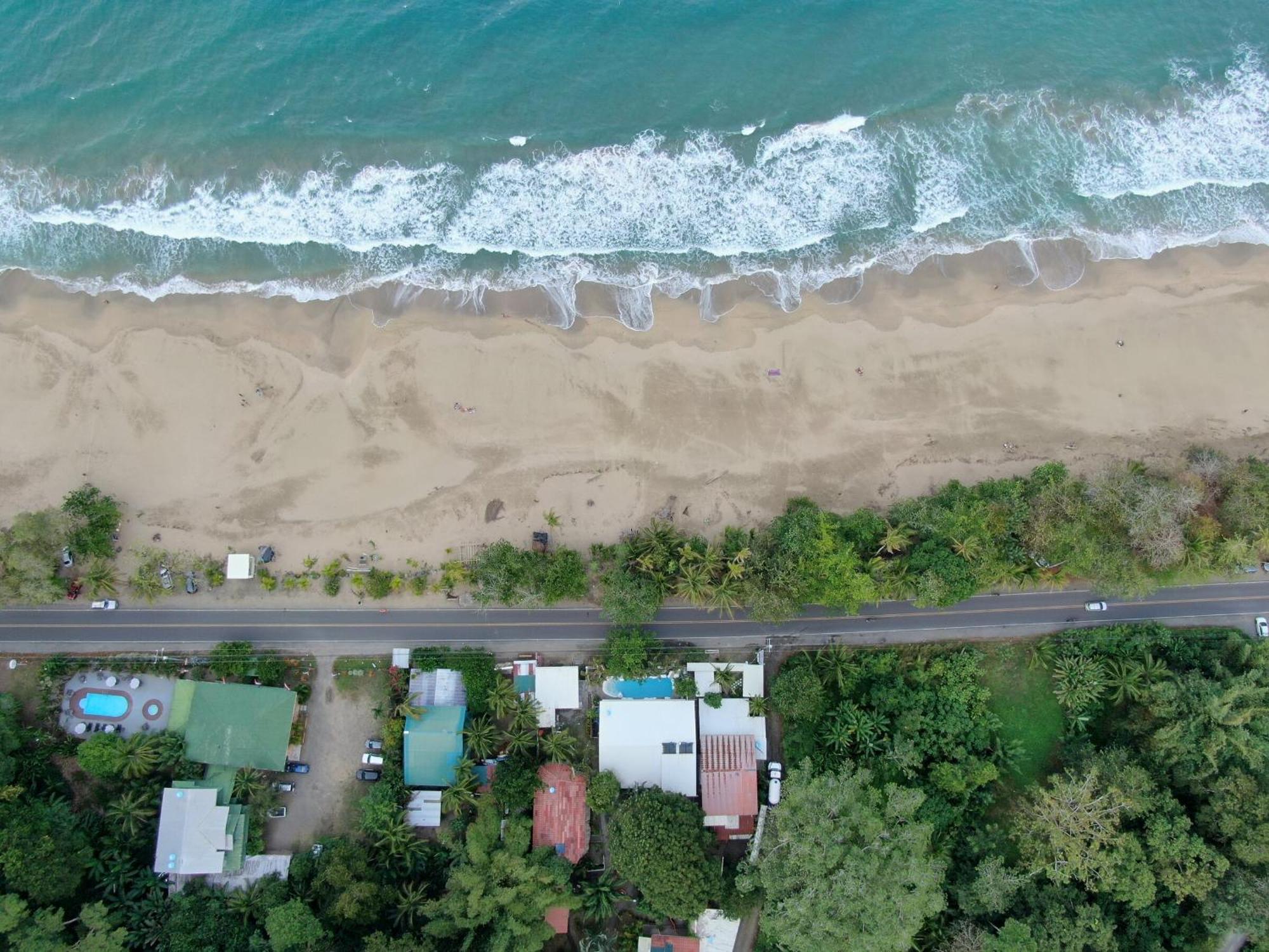 Cariblue Beach And Jungle Resort Puerto Viejo de Talamanca الغرفة الصورة