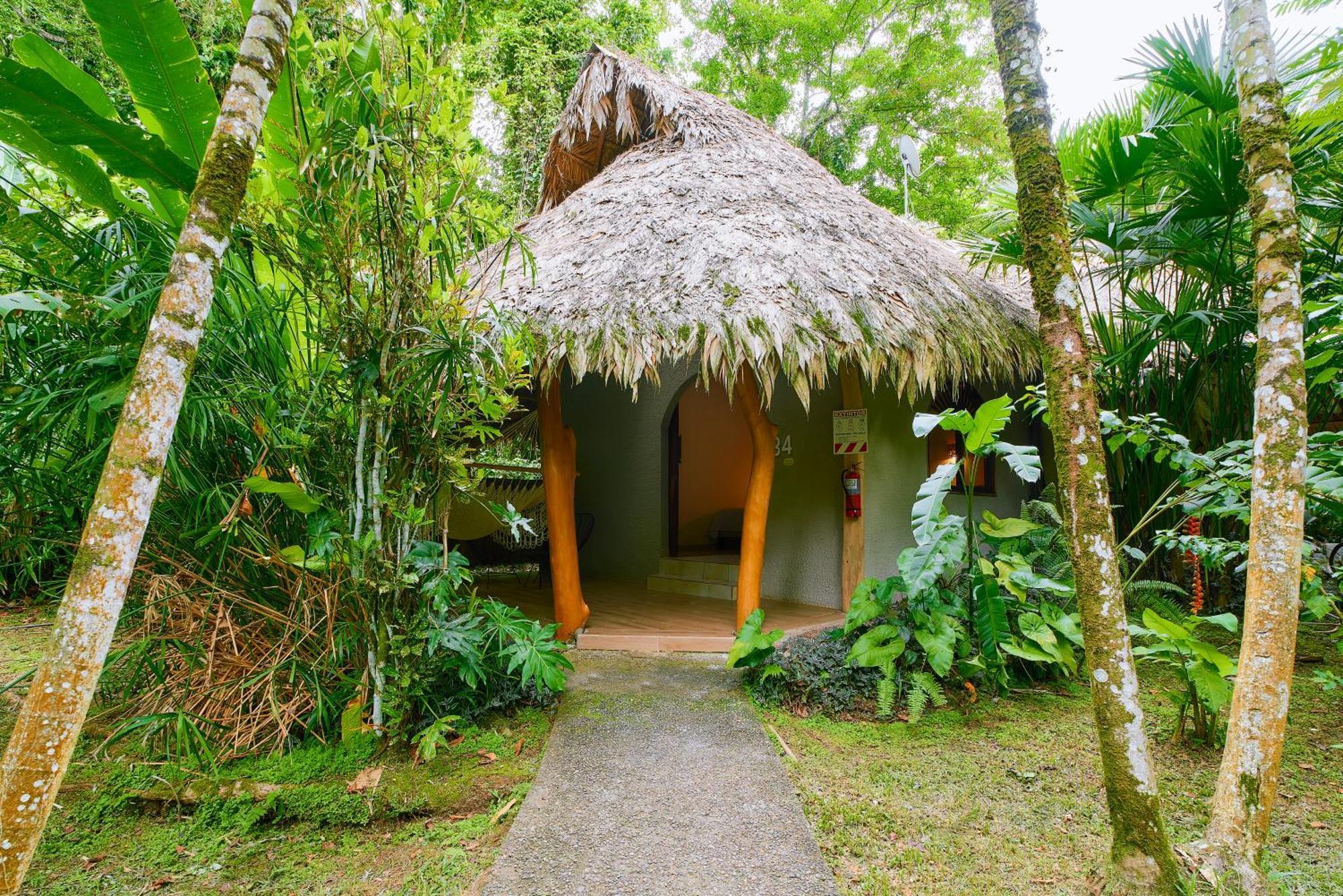 Cariblue Beach And Jungle Resort Puerto Viejo de Talamanca الغرفة الصورة